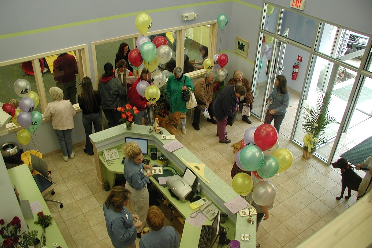 Forever Friends Pet Care Center & Hospital