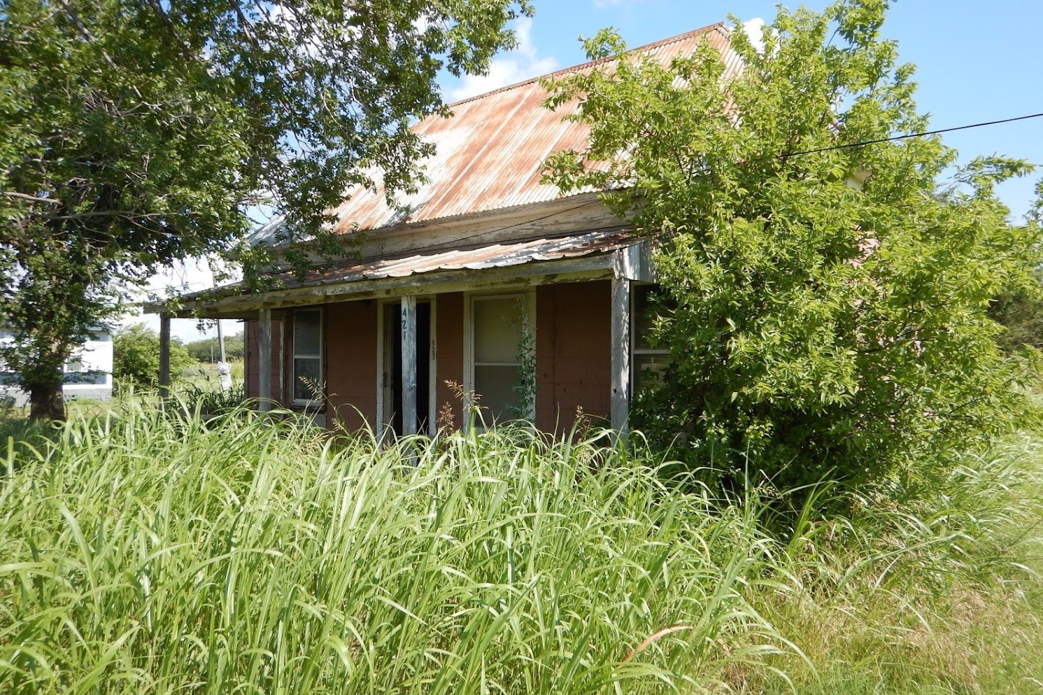 Temple Animal Shelter