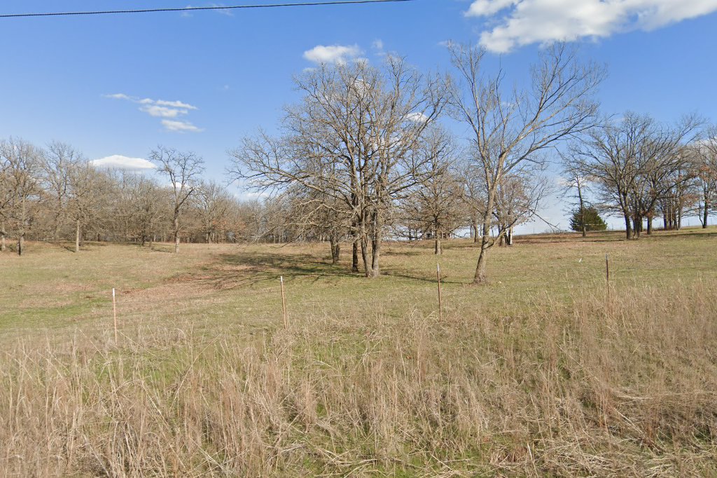 Ok Save A Dog Society