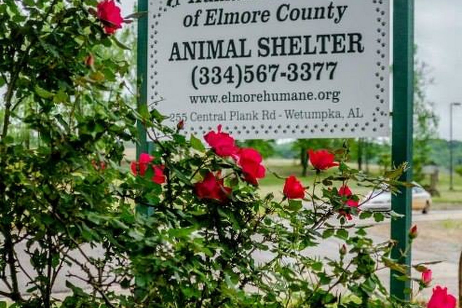 The Humane Society Of Elmore County