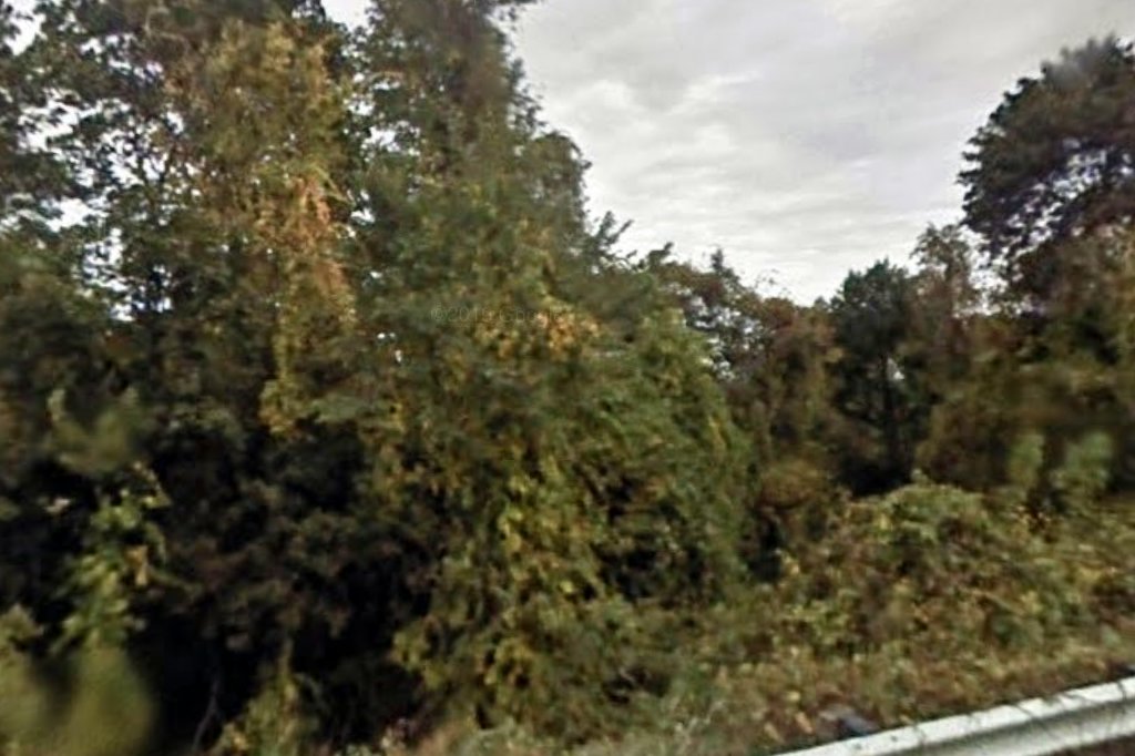 New Horizon Animal Hospital