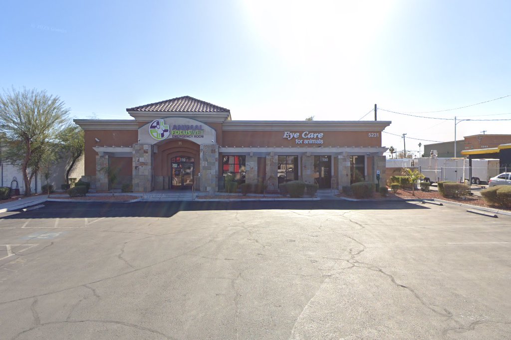 Las Vegas Animal Emergency Hospital