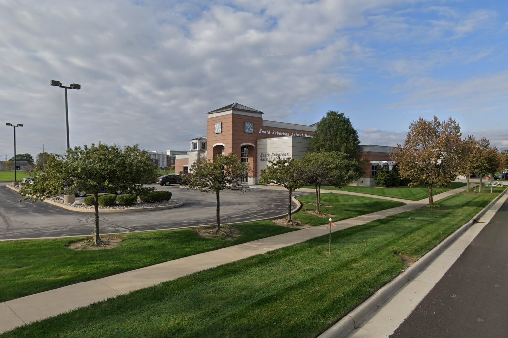 South Suburban Animal Hospital