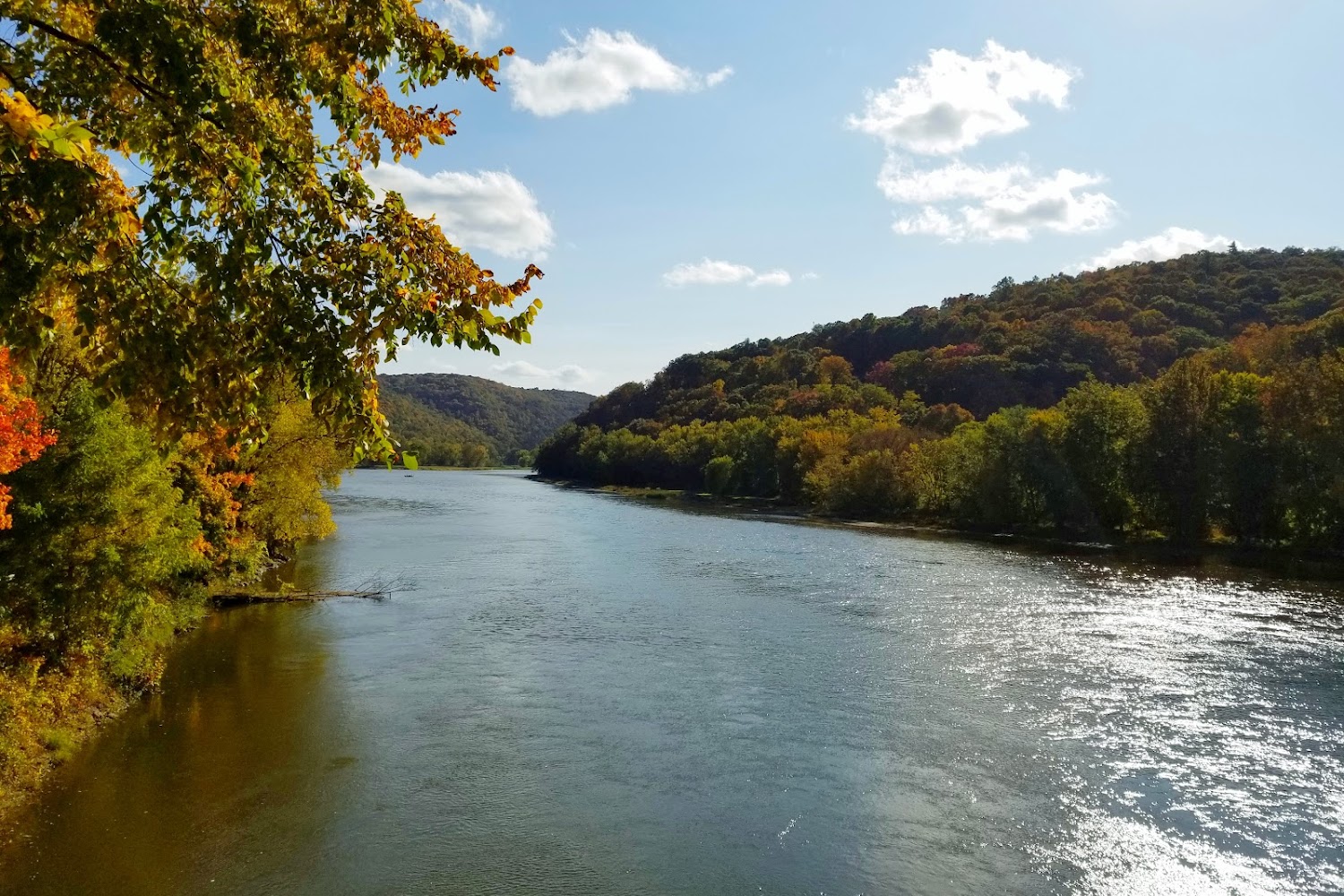 Safehaven Small Breed Rescue