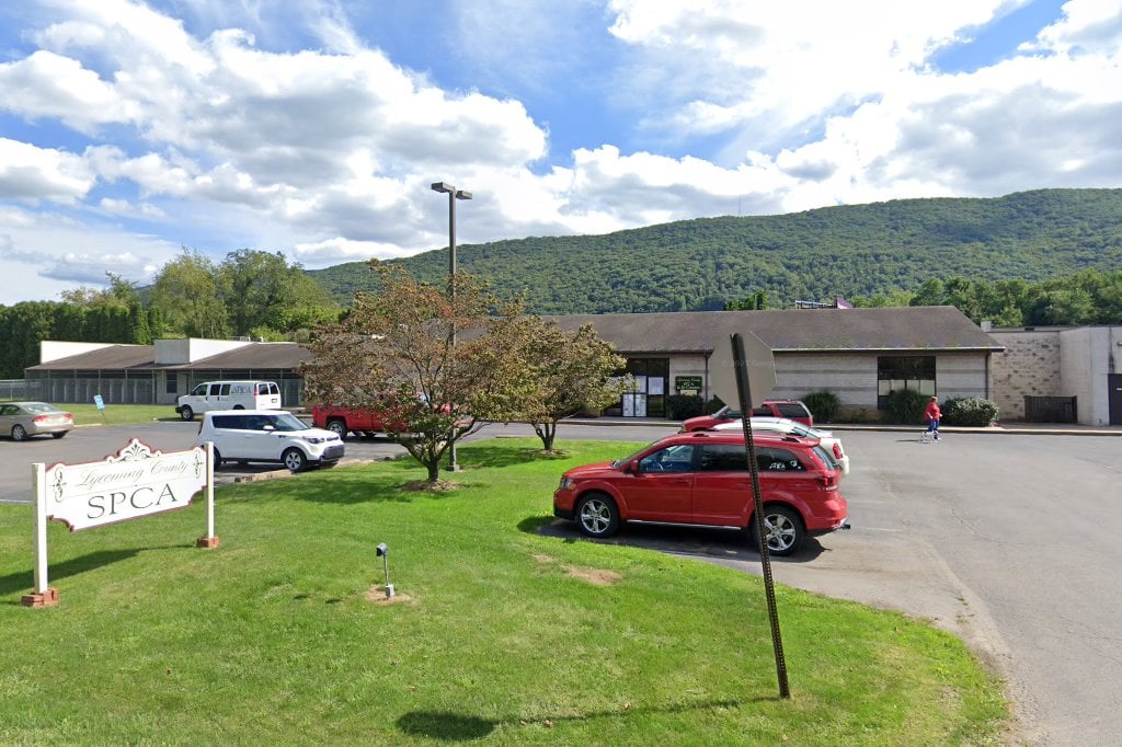 Lycoming County Spca