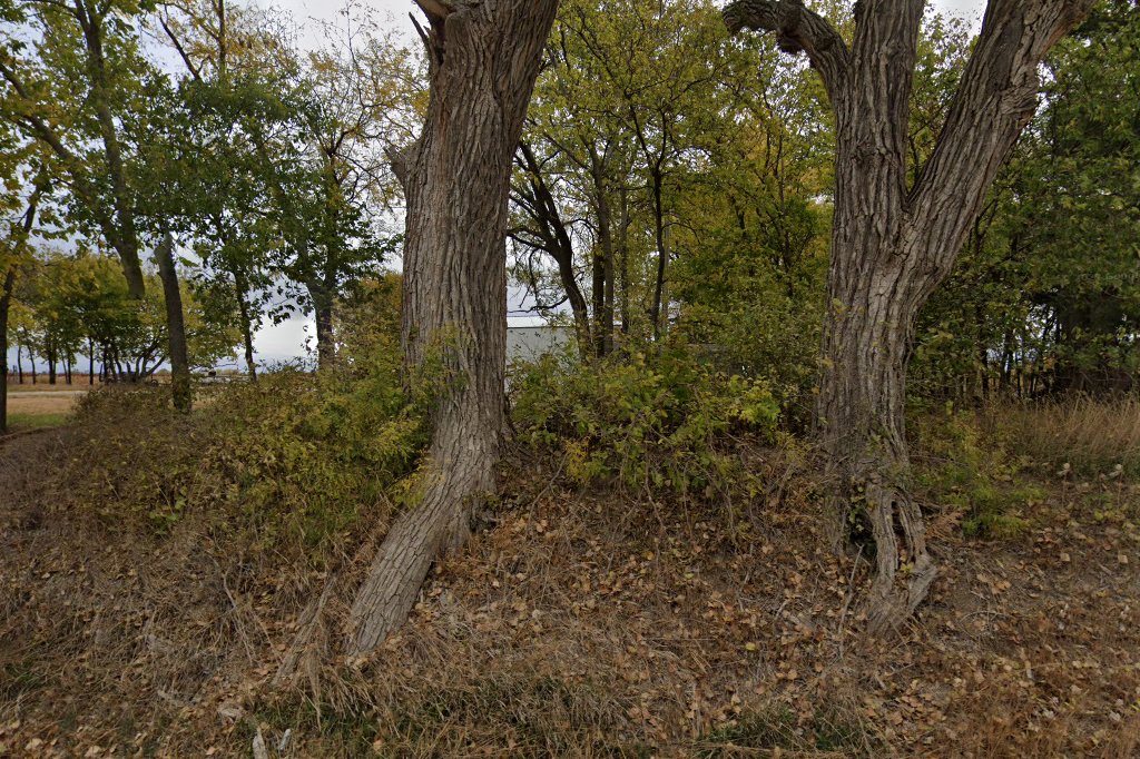 Ellis Animal Control