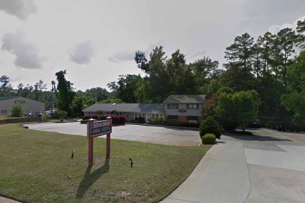 Silver Bluff Animal Hospital