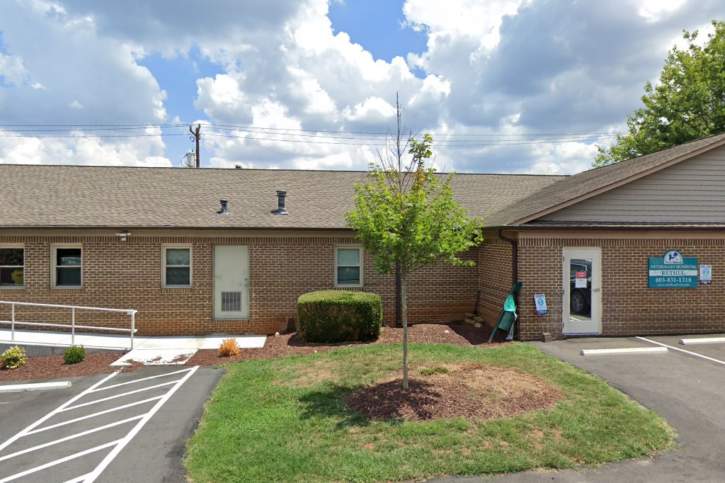 Total Bond Veterinary Hospital at Bethel