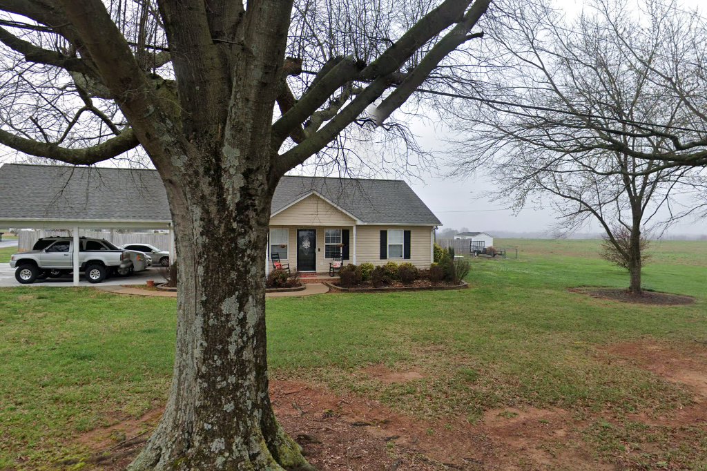 Purr-Fect Kitty Rescue