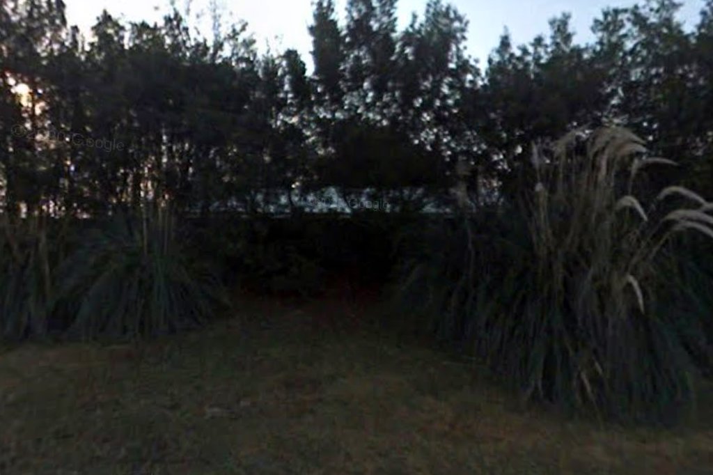 Frances R. Willis SPCA