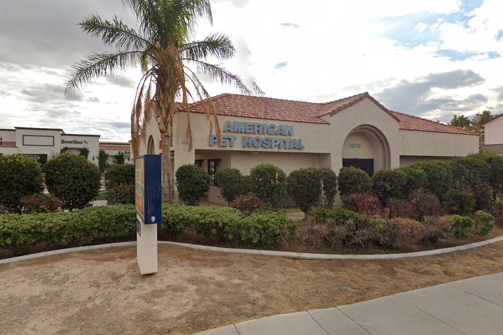 American Pet Hospital