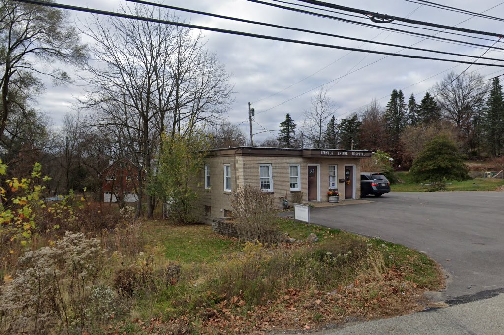 Kernick Animal Hospital