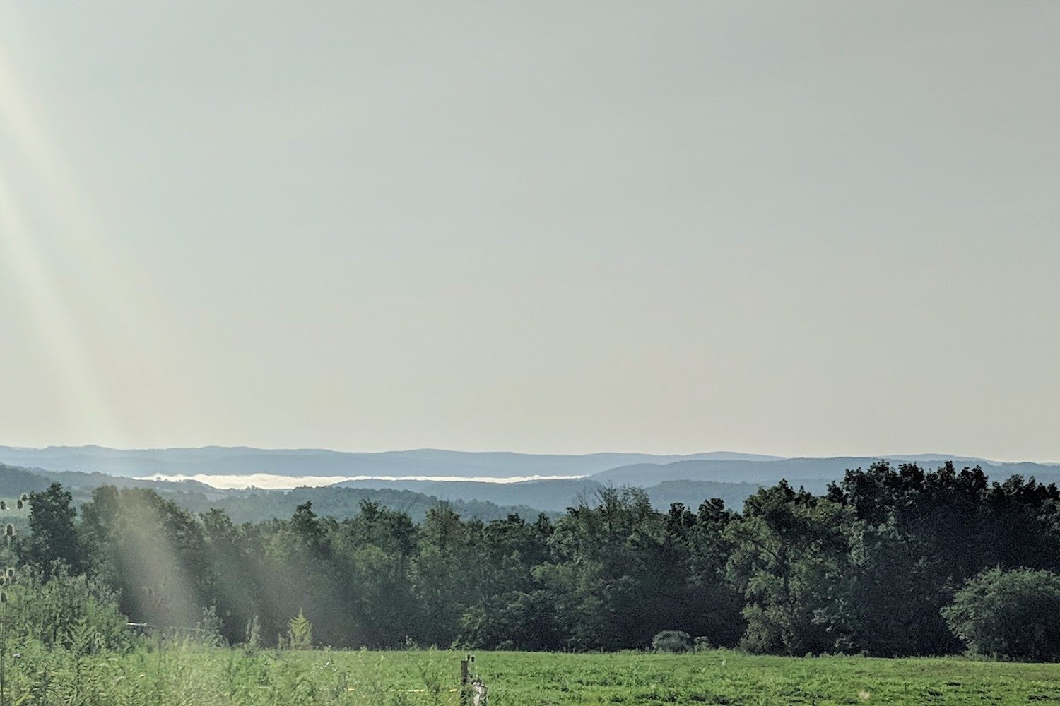 Athens Animal Hospital