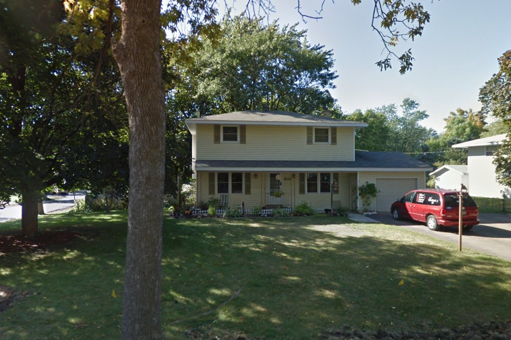 Basset Rescue In Minnesota