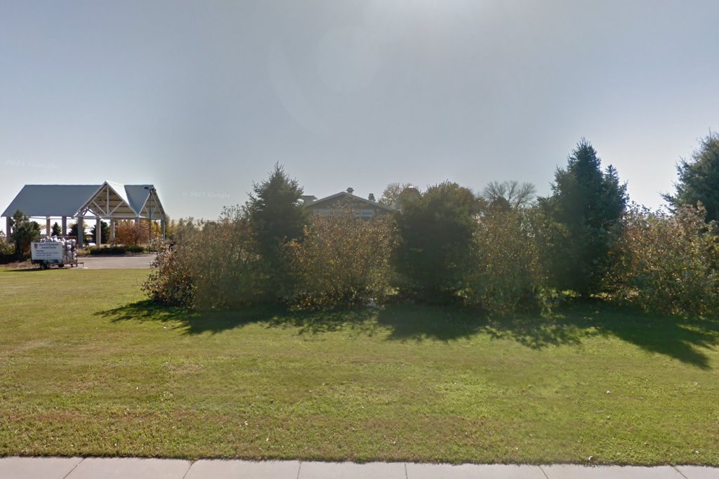 Heart-Minnesota Animal Shelter