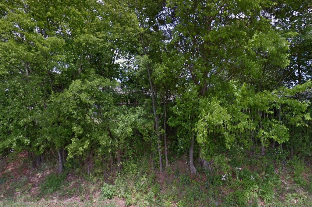 Yorkie Friends Rescue Corporation