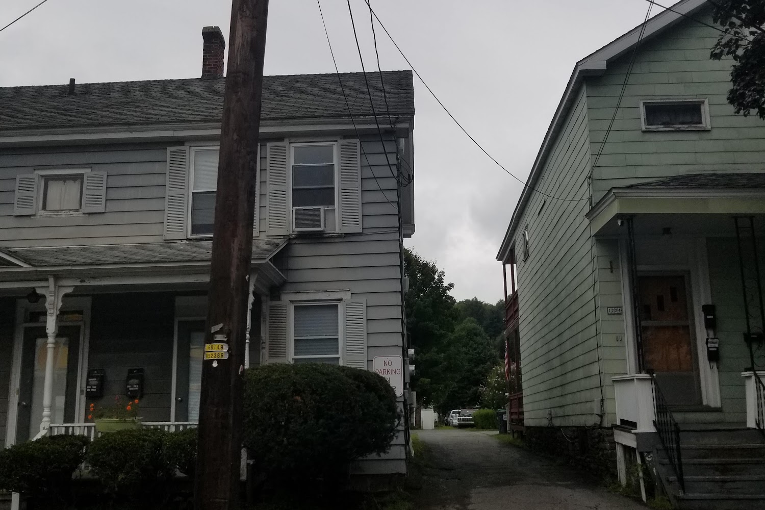 Dessin Animal Shelter