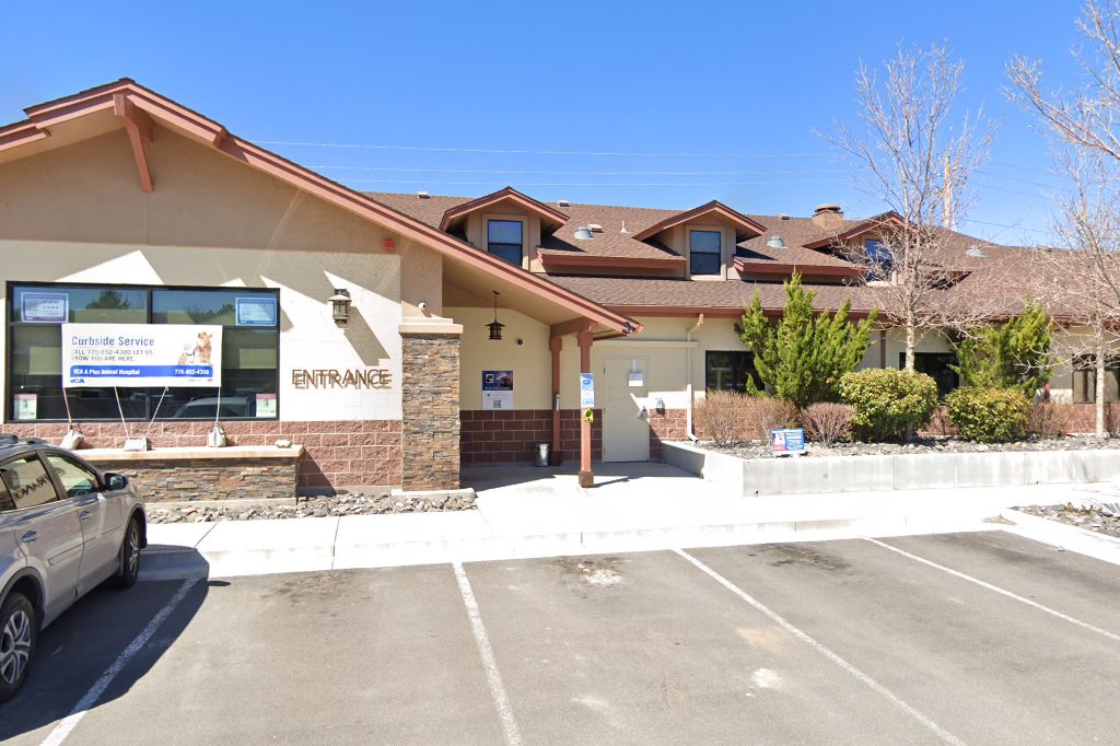 A-Plus Animal Hospital