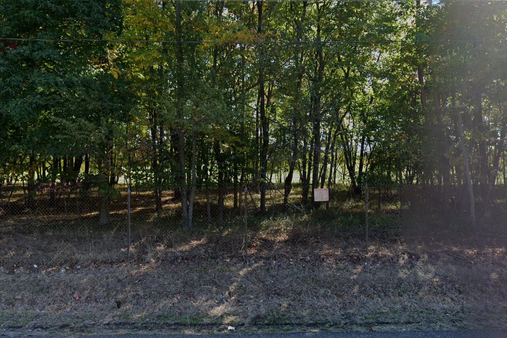 Croydon Animal Control