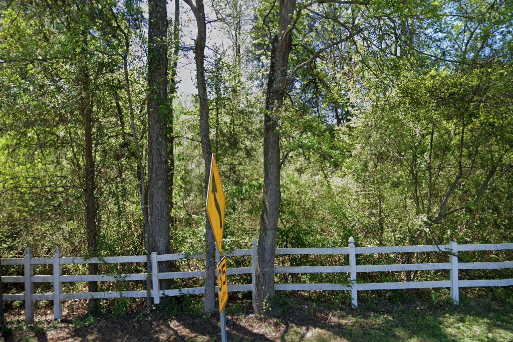 Airedale Rescue Group