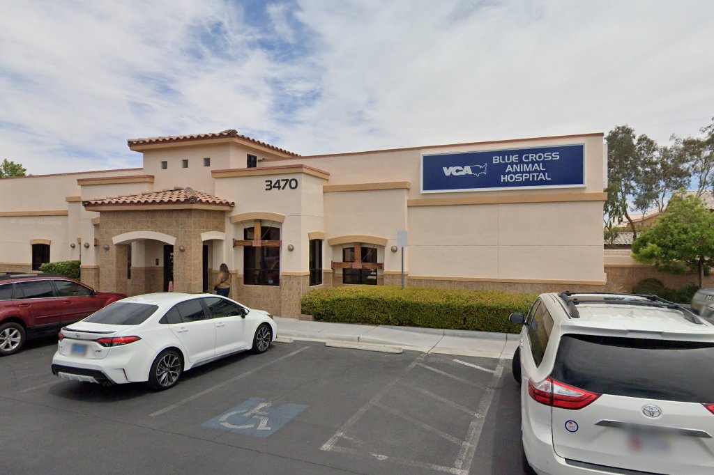 Blue Cross Animal Hospital