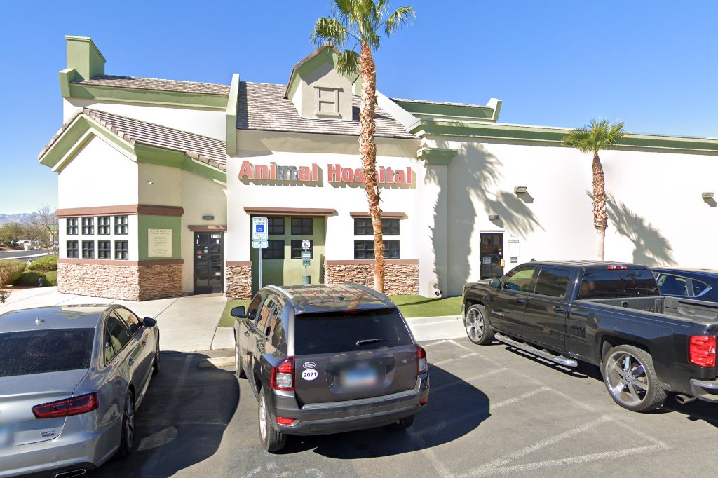 Ann Road Animal Hospital