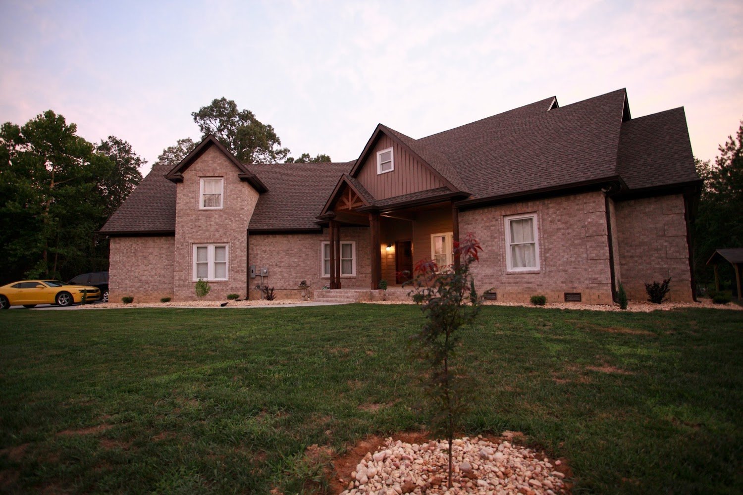 CARAA at Arab Animal Shelter