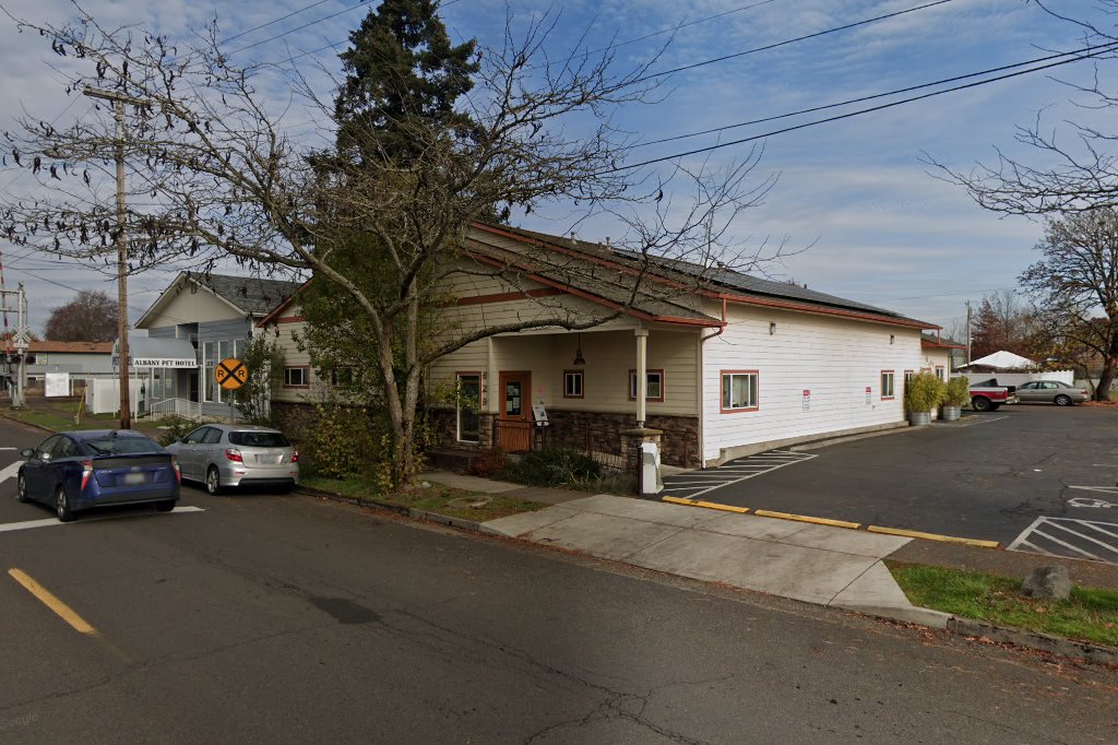 Albany Animal Hospital