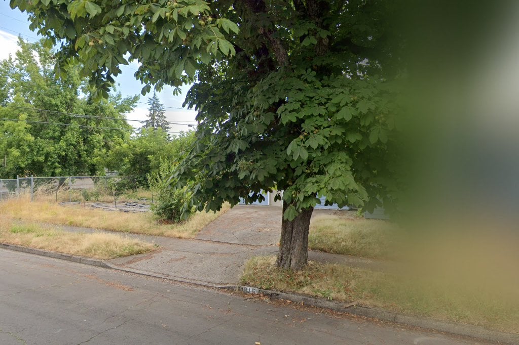 Orfan Oregon Feline Adoption Network