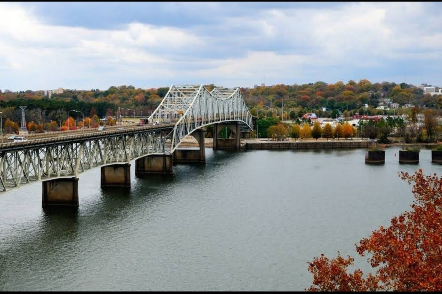 Lauderdale County Humane Society