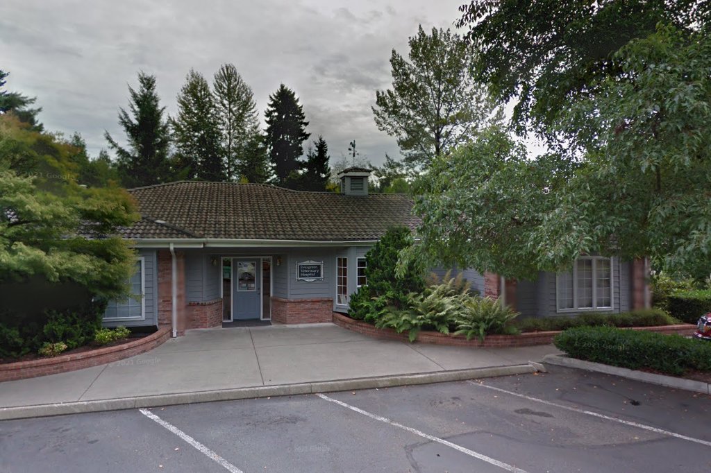 Evergreen Veterinary Hospital