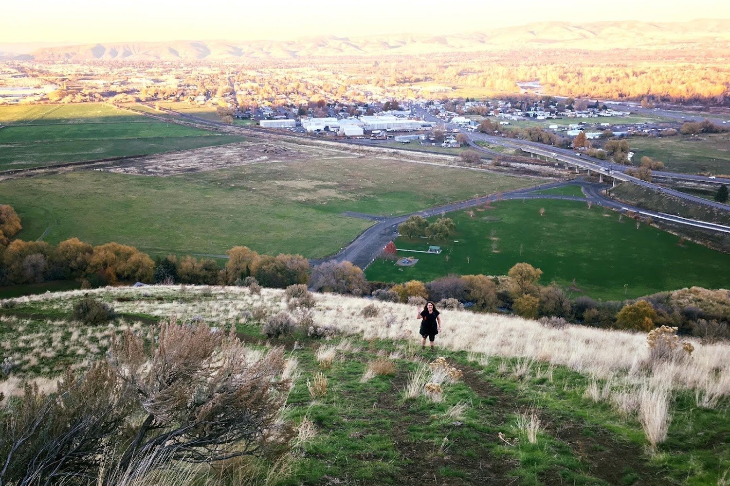 Wags to Riches Animal Rescue and Sanctuary