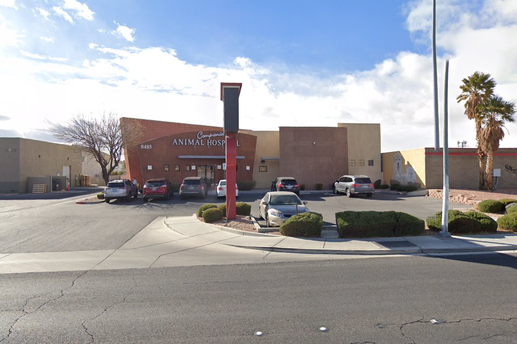 Companion Animal Hospital