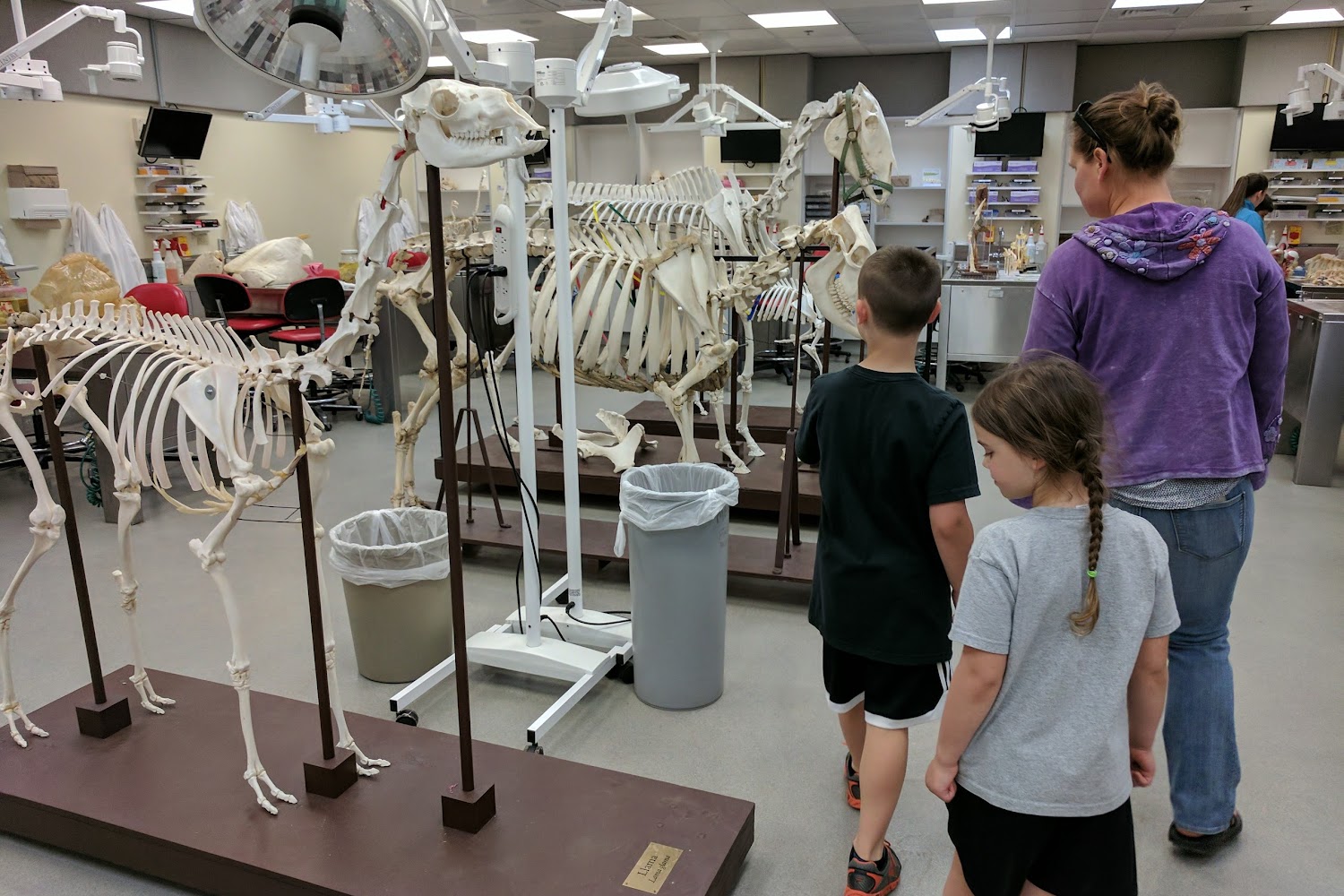 OSU Veterinary Teaching Hospital