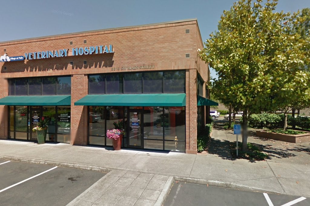 Village At Main Veterinary Hospital