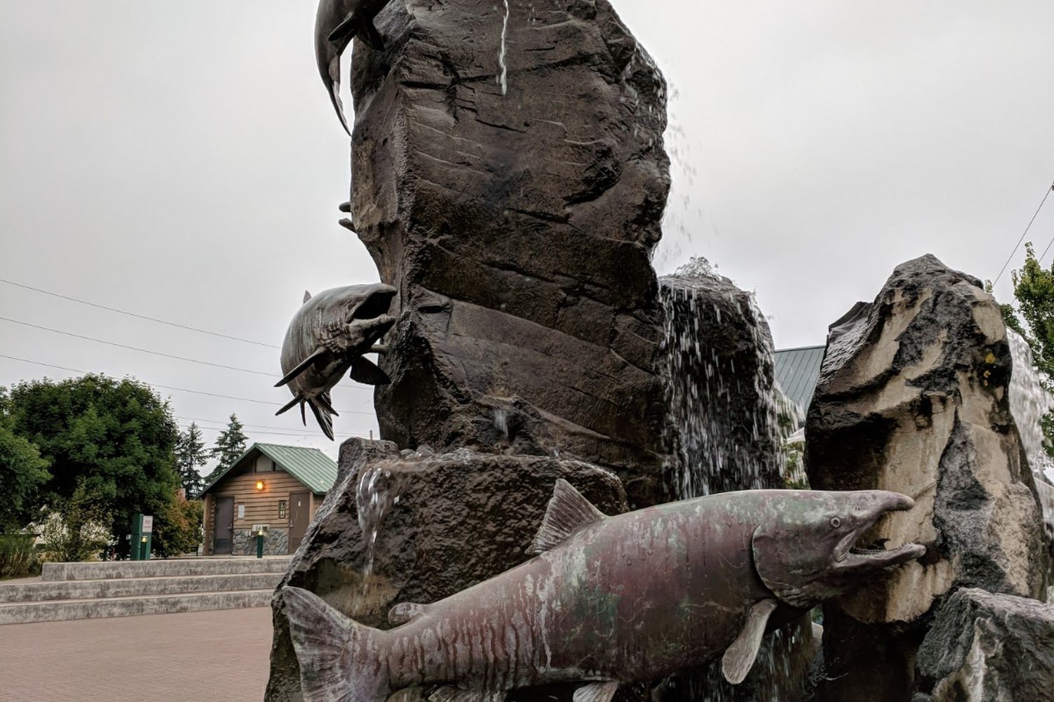 My Way Home Dog Rescue