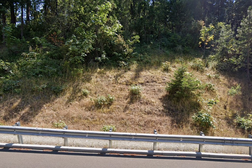 Cascades Raptor Center