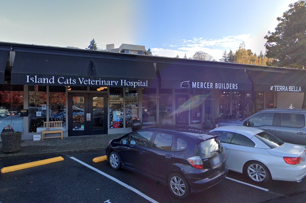 Island Cats Veterinary Hospital
