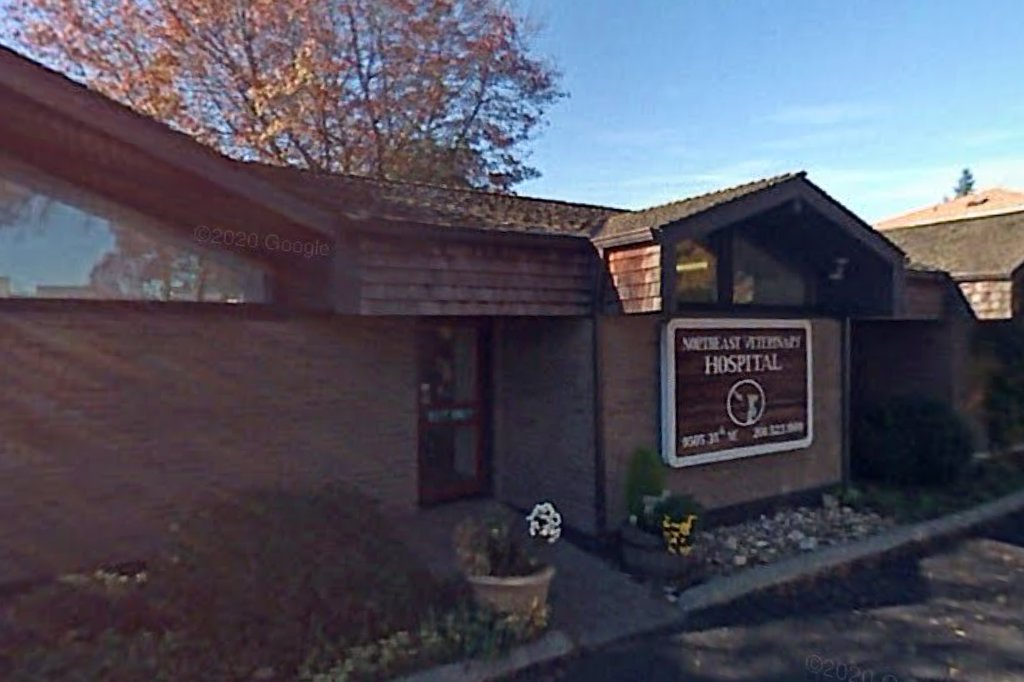 Northeast Veterinary Hospital