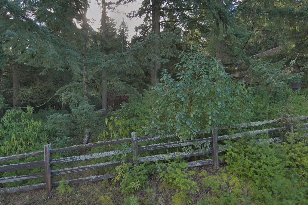 Bainbridge Animal Shelter