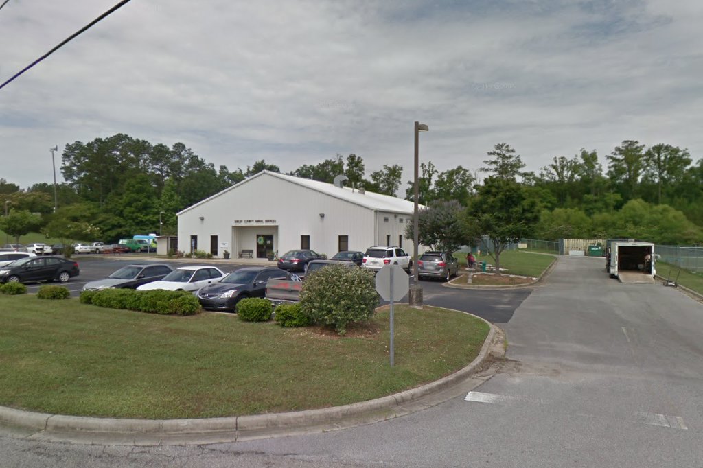 Shelby Humane Society