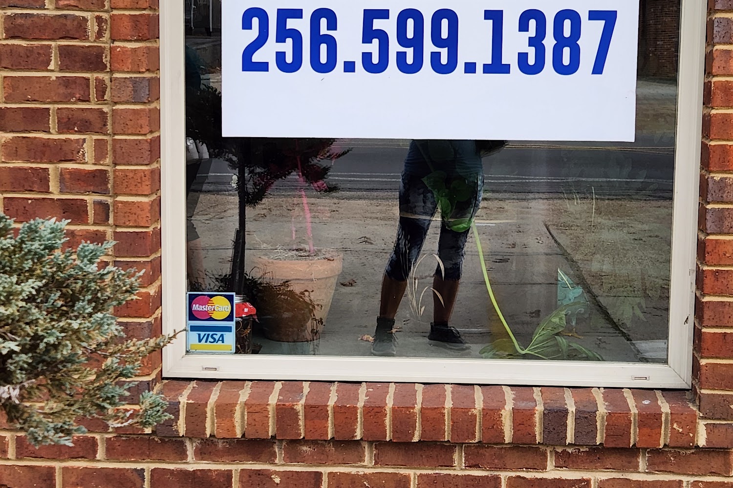 Alabama Equine Rescue