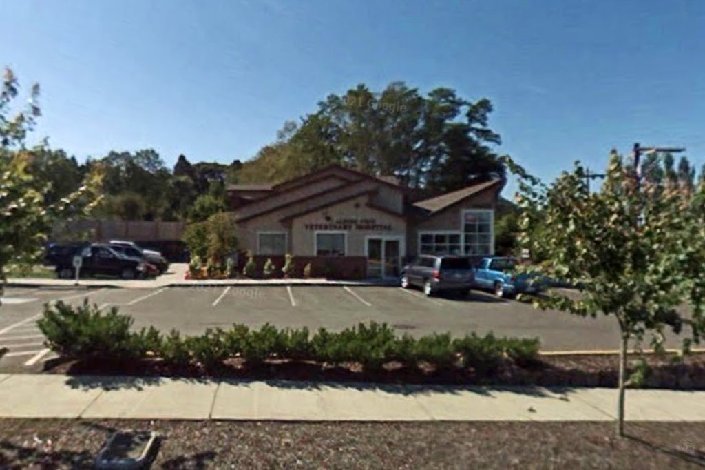 Alpine View Veterinary Clinic