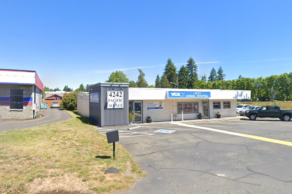 VCA Lacey Animal Hospital