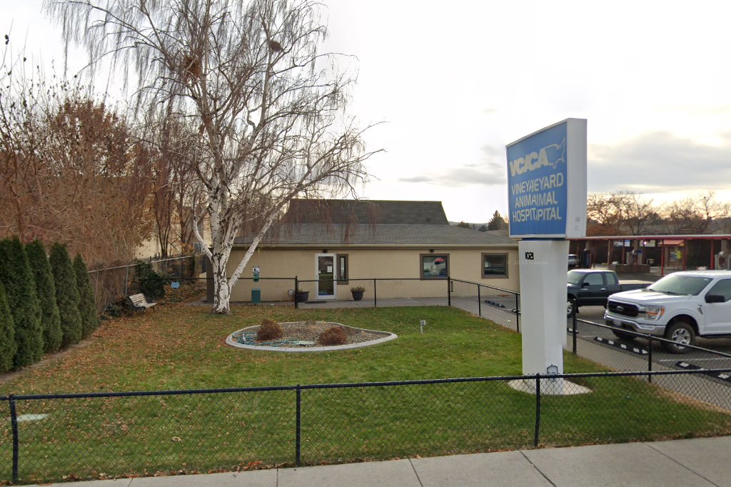 VCA Vineyard Animal Hospital