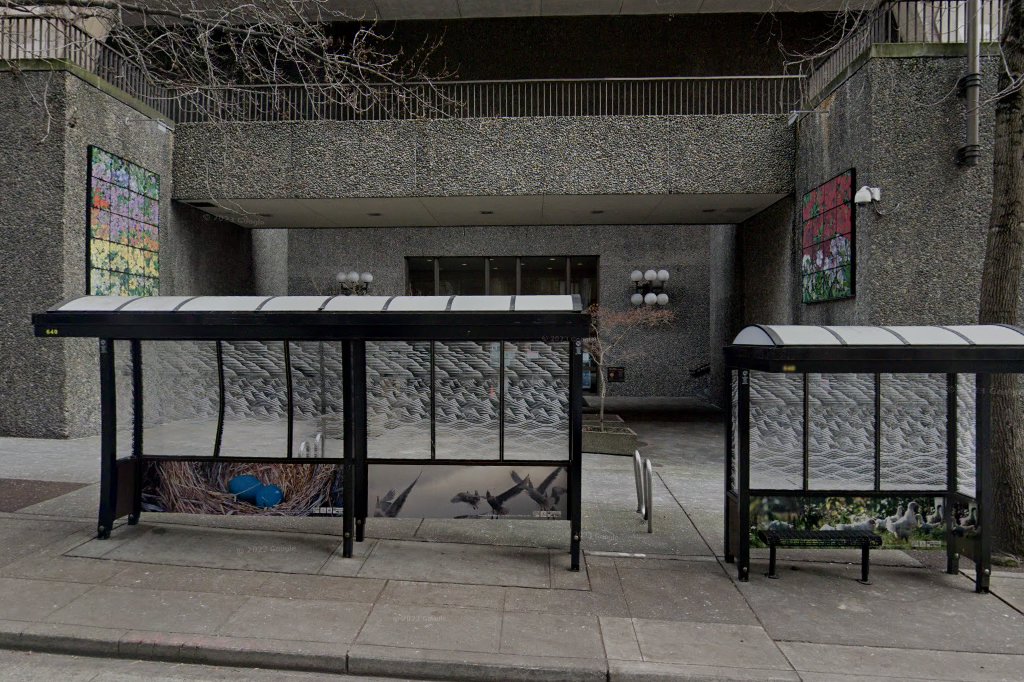 Mercer Island Animal Control