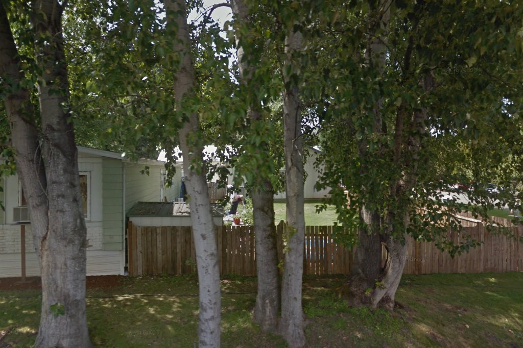 Alpine Veterinary Hospital