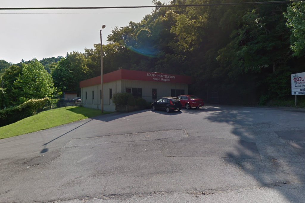 South Huntington Animal Hospital