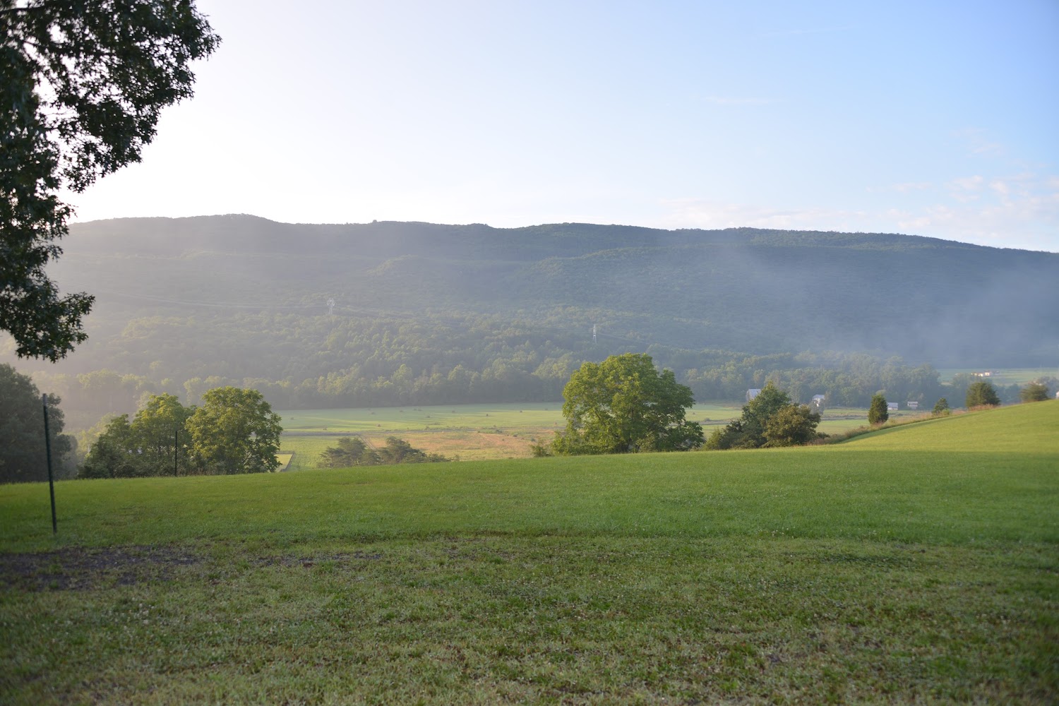 Almost Heaven Golden Retriever Rescue Sanctuary