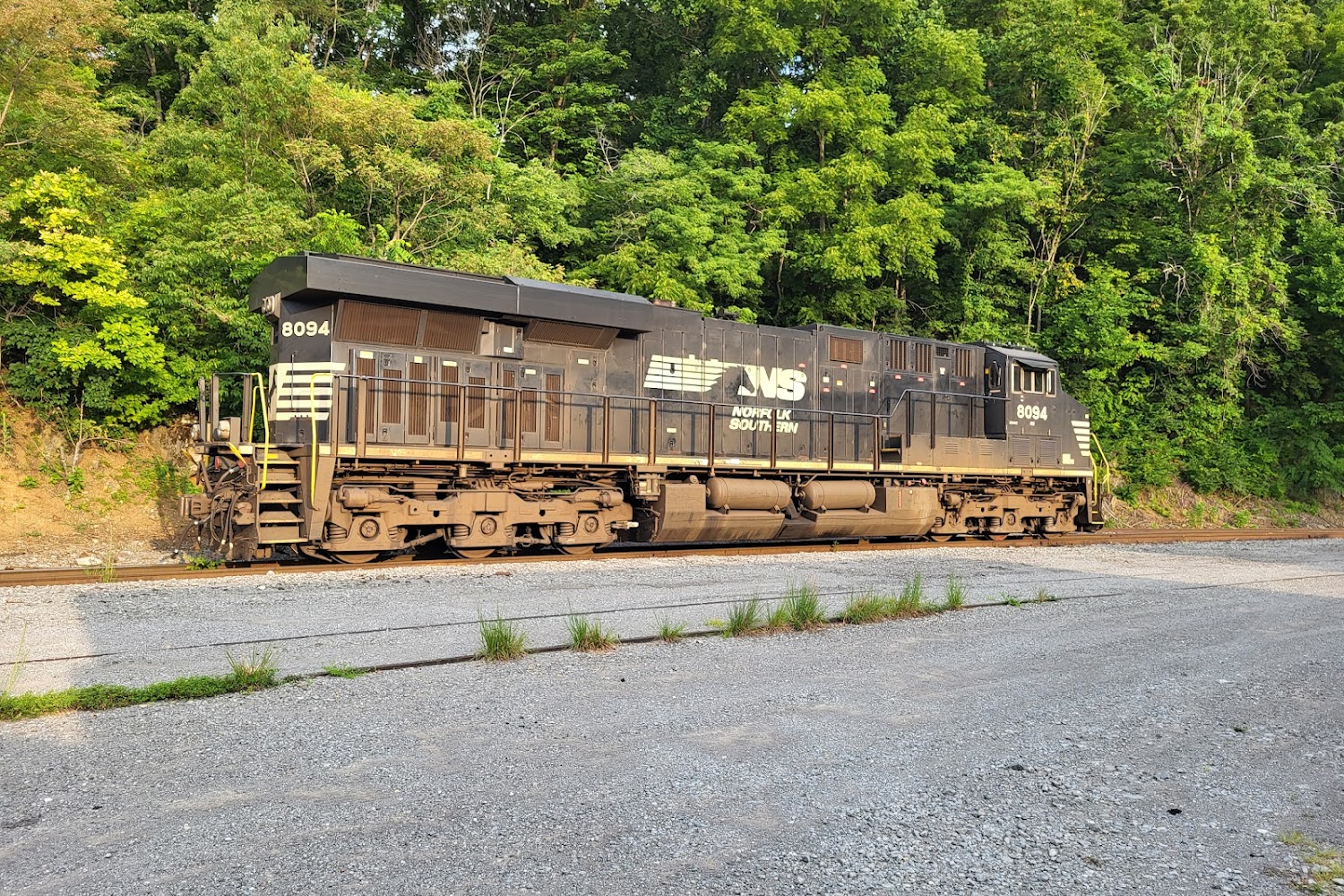 Mercer County Humane Society